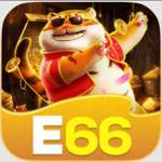 E66 Profile Picture