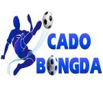 Cá Cược Bóng Đá Profile Picture