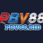 PBV88 Bid Profile Picture