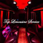 Top Limo Service Profile Picture