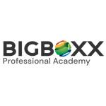 Bigboxx Professional Academy Profile Picture
