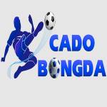 Cá Cược Bóng Đá Profile Picture