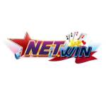 NETWINS VIN Profile Picture