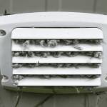 Boca Raton Dryer Vent Cleaning Profile Picture
