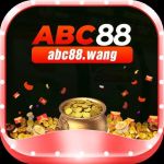abc88 wang Profile Picture