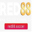 RED88 Profile Picture