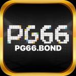 pg66bond Profile Picture