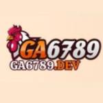 Ga6789 Dev Profile Picture