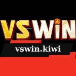 Vswin Profile Picture