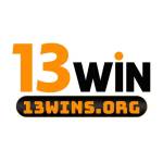 13WINS ORG Profile Picture