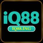 Iq88 Profile Picture