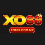 XO88 Profile Picture