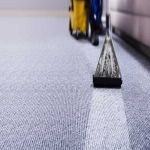 Hayward Carpet Cleaning Profile Picture