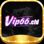 vip66cfd Profile Picture