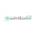 Amin Zamin Profile Picture
