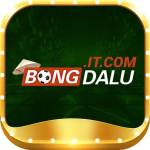 bongdalu Profile Picture