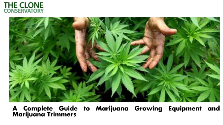PPT - A Complete Guide to Marijuana Growing Equipment and Marijuana Trimmers PowerPoint Presentation - ID:14362871