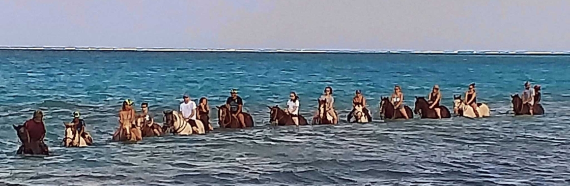 Coral Stone Stables Cover Image