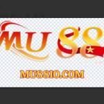 ecslukcom Profile Picture