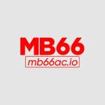 mb66 Profile Picture