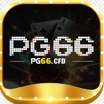 pg66cfd pg66cfd Profile Picture