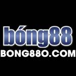 bong88o com Profile Picture