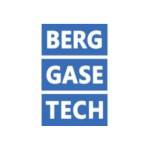 BERG GaseTech GmbH Profile Picture