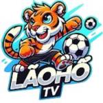 laohotvinvn Profile Picture