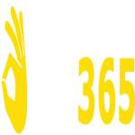 OK365 report Profile Picture