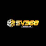 SV368 Profile Picture