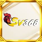 sv3689 net Profile Picture