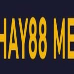 HAY88 Profile Picture