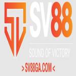 SV88 Profile Picture