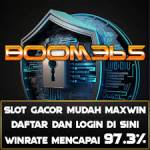 boom365 Profile Picture