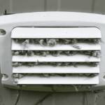 Boynton Beach Dryer Vent Cleaning Profile Picture