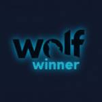 Wolf Winner Casino Australia Profile Picture
