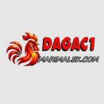 dagac1 marimalek Profile Picture