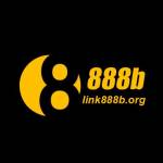 link888borg Profile Picture