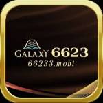 6623 Galaxy Profile Picture