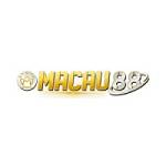 macau slot Profile Picture