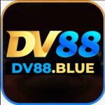 DV88 Profile Picture