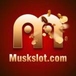 muskslot Casa de Apostas Profile Picture