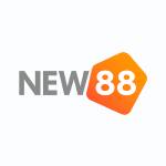 New88 sarl Profile Picture