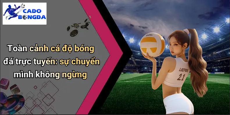 Cá Độ Bóng Đá Cover Image