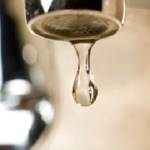 prontorooter Profile Picture