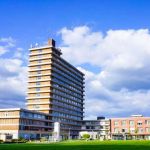 Austin Quan Yin Profile Picture