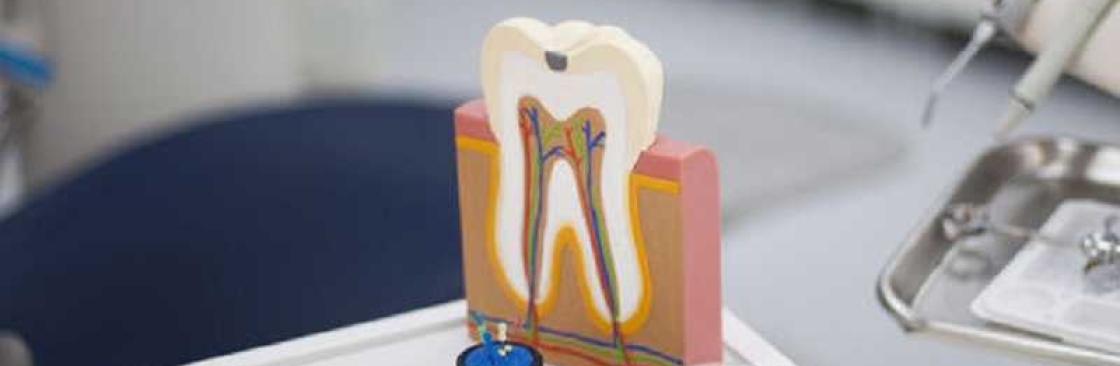 The Dental Space Cover Image