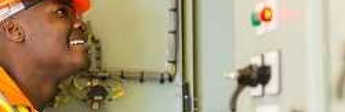 Phoebe Fuller Cover Image