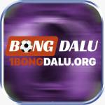1Bongdalu org Profile Picture