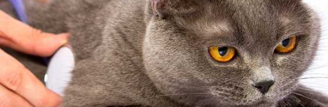 Fort Oglethorpe Pet Wellness Center Cover Image